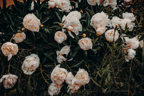 Choisir et installer votre porte de garage à nice
