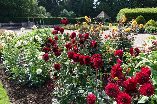 des astuces pour aménager un jardin en pente de manière esthétique et fonctionnelle