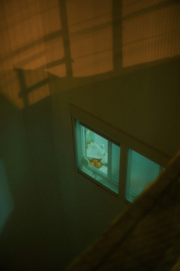 Optimisez votre confort avec les films thermiques pour fenêtres !